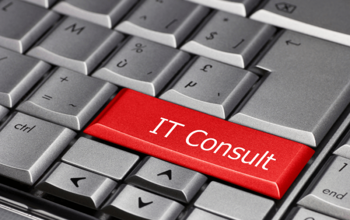 The Complete Guide for IT Consulting