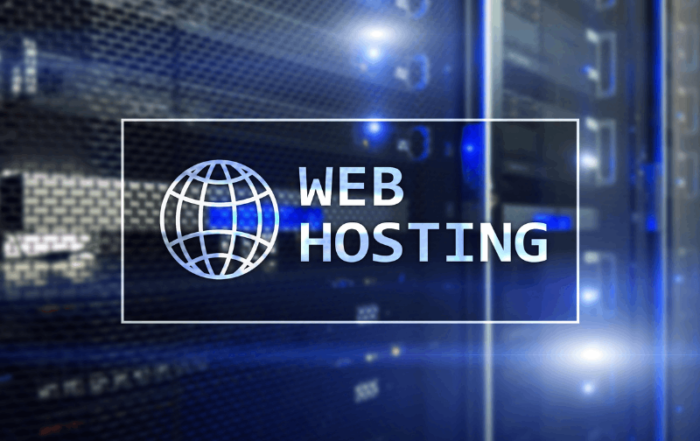 What is Web Hosting
